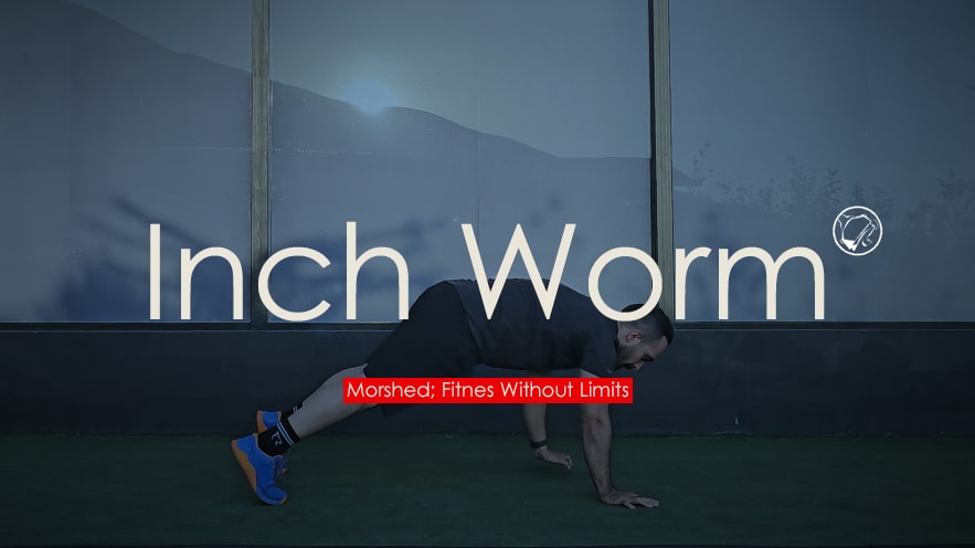 Worm Excercise انجام صحیح حرکت کرم اینچ (Inch Worm) - مرشد